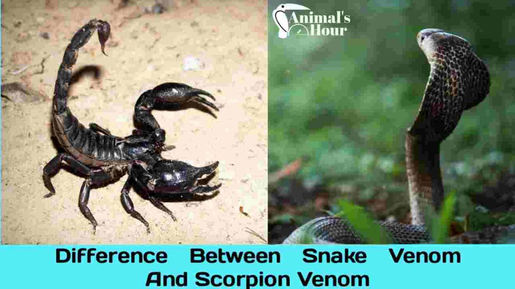 Snake venom and scorpion venom