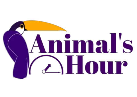 Animals Hour