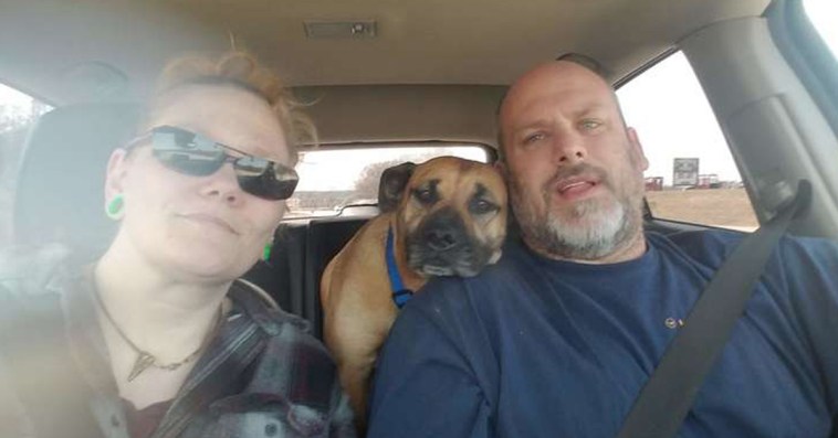 man leaves car door open at gas station stray dog sneaks in the car and asks to be adopted