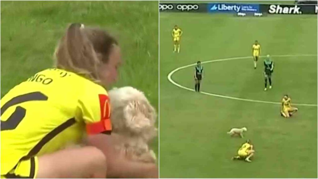 Dog interrupted football match