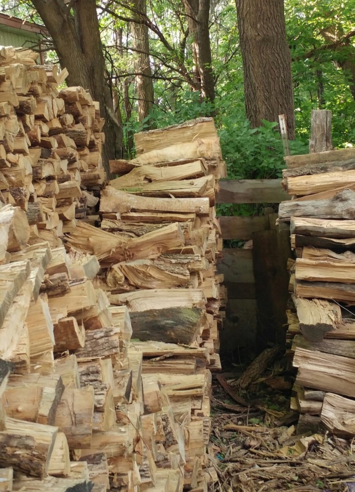Find hidden cat in the picture game between logs