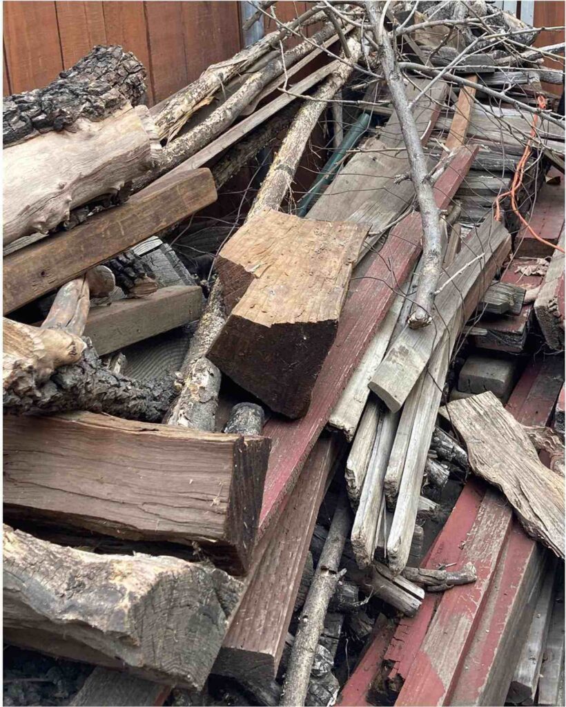 Spot Hidden cat in picture