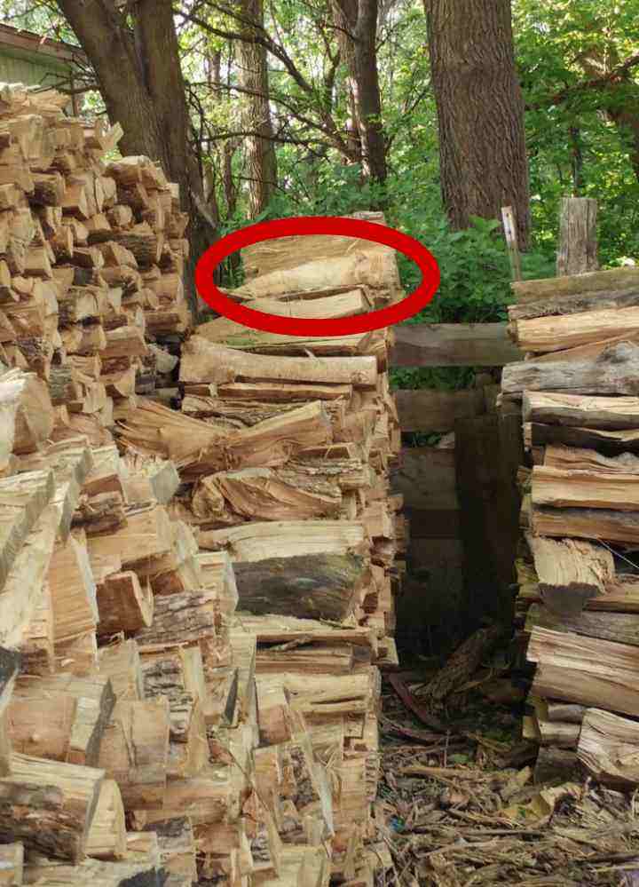 Answer of Find hidden cat in the picture game between logs