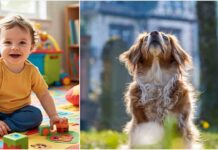 2 Year Old Missing Boy Found By Dog 7 Miles Away