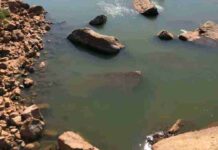 Can You Spot the Hidden Crocodile in This Rocky Illusion Within 8 Seconds?