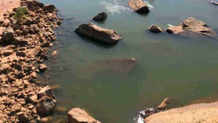 Find hidden crocodile in this picture