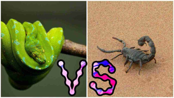 Snake vs scorpion venom