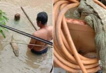 Viral “Crocodile” in Malaysia Flood Turns Out to Be a Floating Pillow