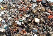 This Cat is Hiding in Plain Sight Among Garbage — Can You Find It in 15 Seconds?