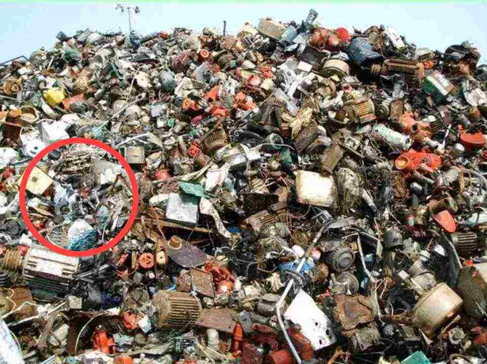 Find hidden cat in the picture - Answer