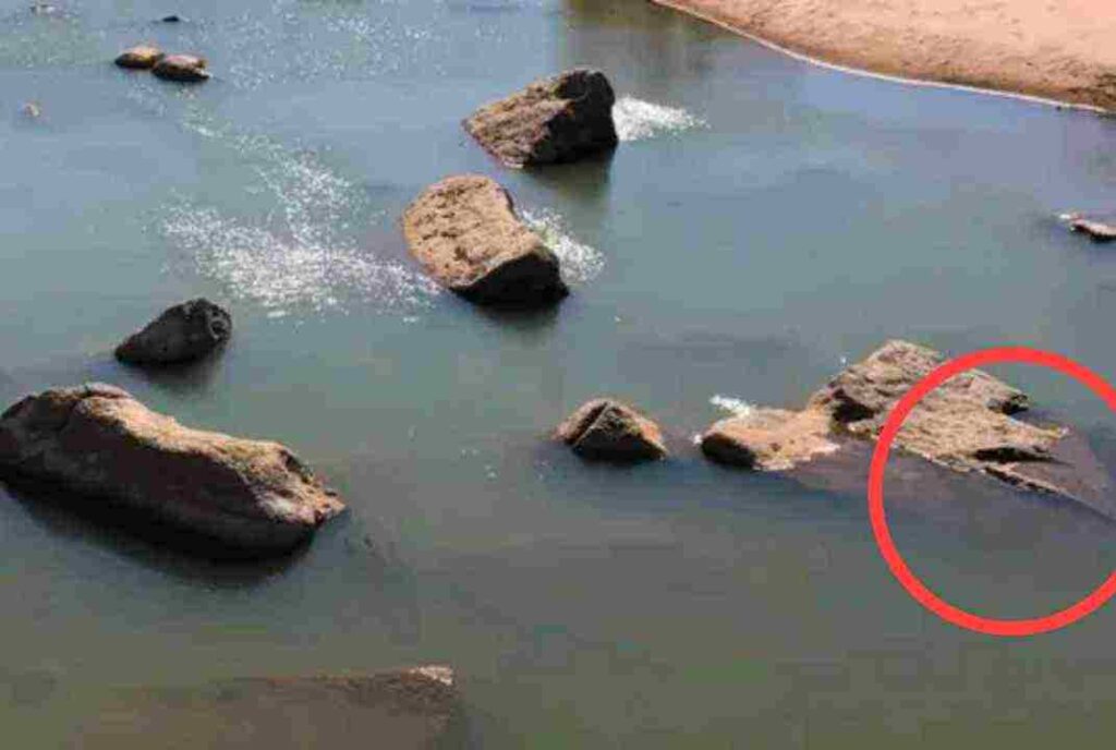 Can You Spot the Hidden Crocodile in This Rocky Illusion Within 8 Seconds? 1 findcrocodileinpictureanswer