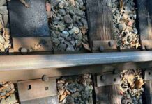 Can You Spot the Hidden Snake in This Railway Track Picture?