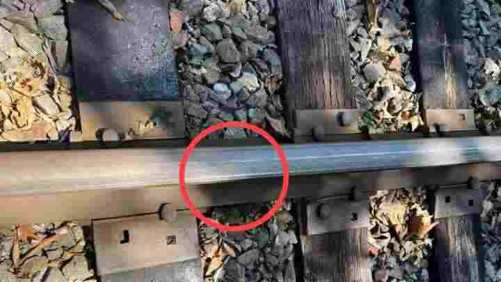 Can You Spot the Hidden Snake in This Railway Track Picture? 1 findthehiddensnakeanswer