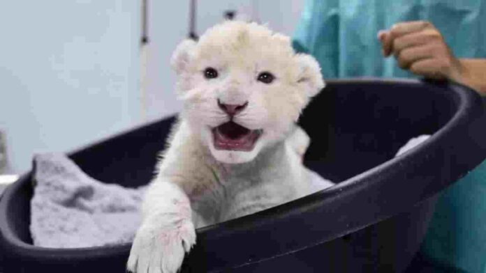 Picsart_25-12-21_09-00-23-189