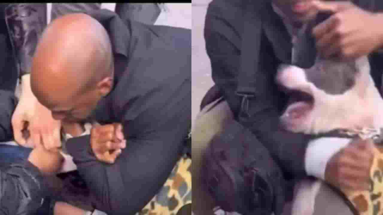 Horrifying Video Shows Pit Bull Attacking Toddler on Busy New York City Street