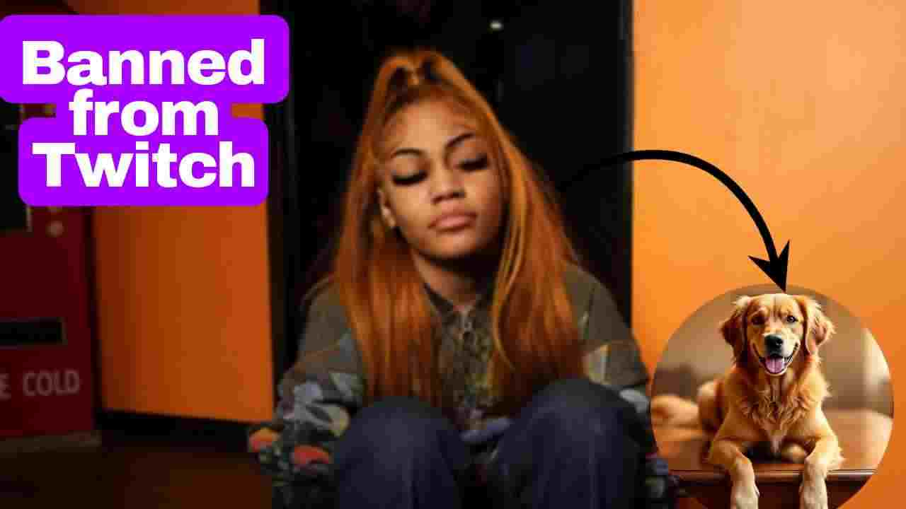 Famous Twitch Streamer Aspen Kartier Banned After Animal Cruelty Allegations During Live Stream