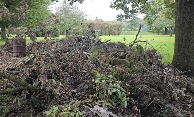 Challenge: Spot Hidden Dog In This Picture 2 spotdoginthepicture5903193467552359653