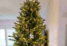 Can You Spot the Hidden Snake in This Christmas Tree Photo? 99% of People Miss It on First Look