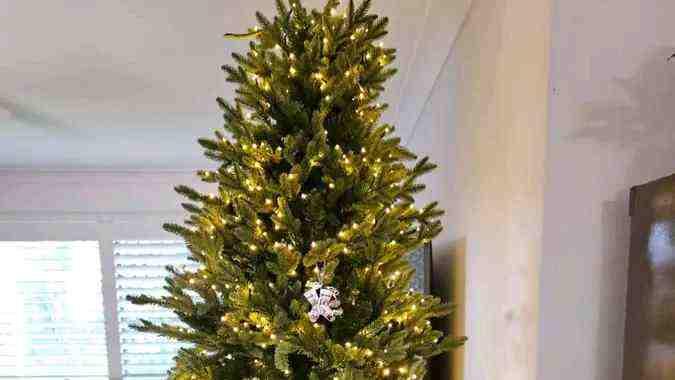 Picsart_26-04-06_07-59-49-280