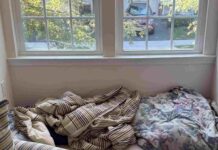 Can You Spot the Hidden Cat in This Living Room in Just 15 Seconds?