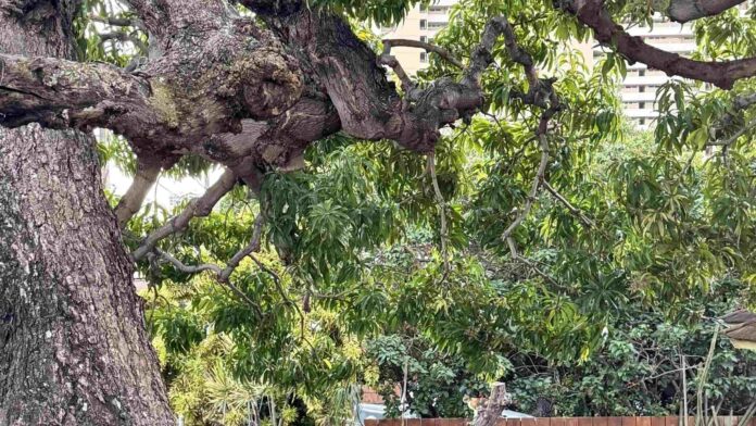 Picsart_26-04-30_12-27-26-335