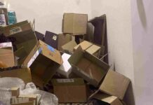 Spot the Hidden Cat in This Cluttered Room