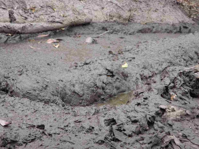 Picsart_26-04-30_16-57-37-911