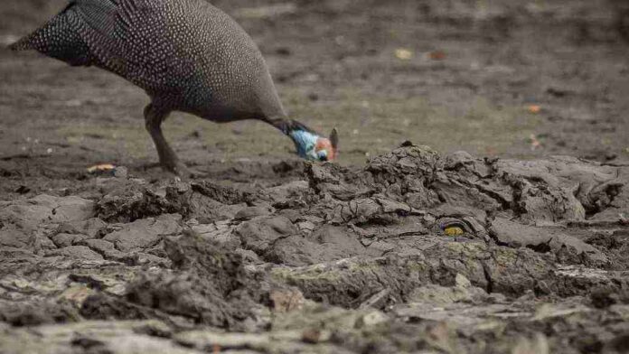 Picsart_26-04-30_17-12-07-565