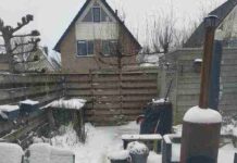 Eye Exercise : Spot the Hidden Cat in This Snowy Backyard