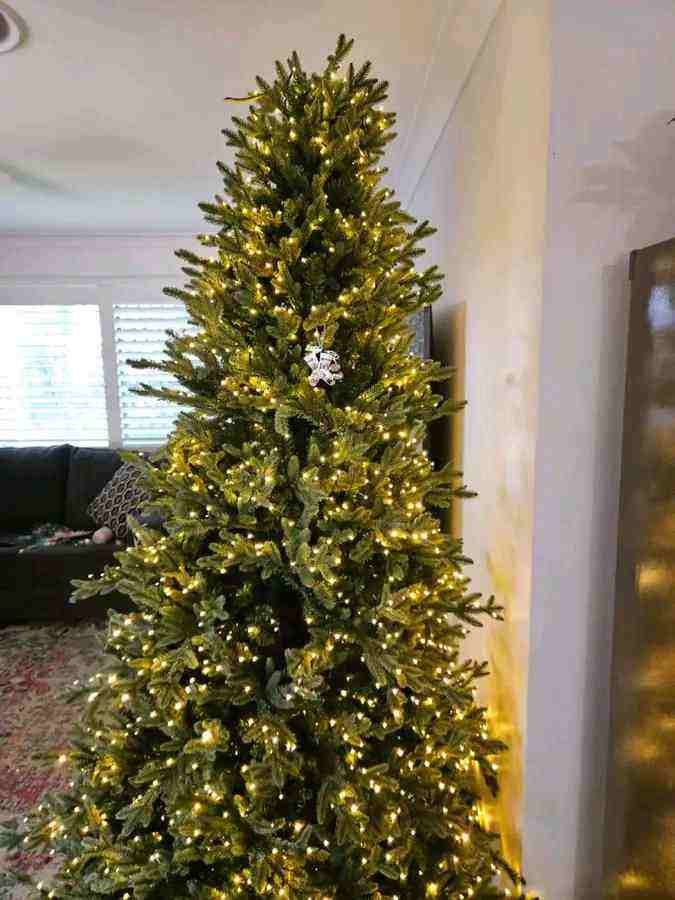 Can You Spot the Hidden Snake in This Christmas Tree Photo? 99% of People Miss It on First Look 1 picsart 26 04 06 08 00 05 7543452804854073048290