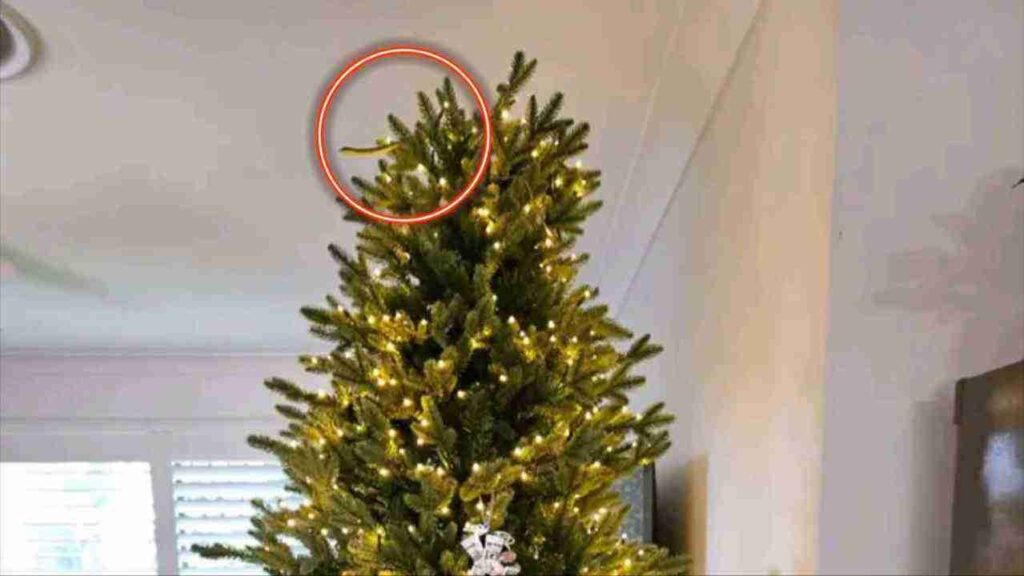 Can You Spot the Hidden Snake in This Christmas Tree Photo? 99% of People Miss It on First Look 2 picsart 26 04 06 08 01 04 3601315019402478568622