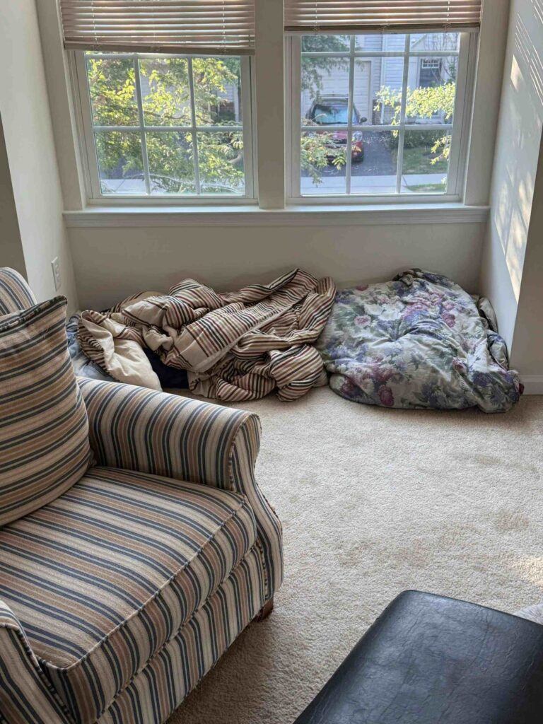 Can You Spot the Hidden Cat in This Living Room in Just 15 Seconds? 1 picsart 26 04 27 16 03 52 461675844820636863138