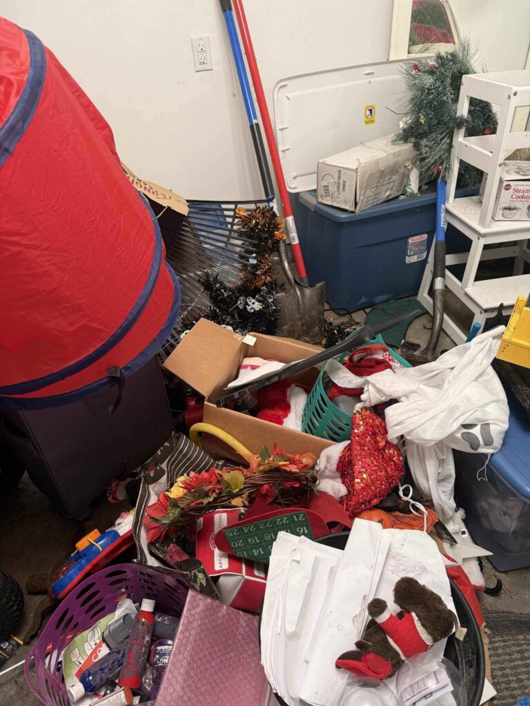 Spot the Hidden Cat in This Messy Storage Room 1 picsart 26 04 30 12 35 28 0235841329965101879254