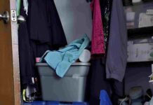 Spot the Hidden Cat in This Messy Closet