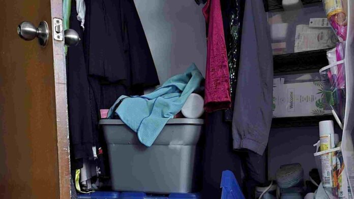 spot hidden cat