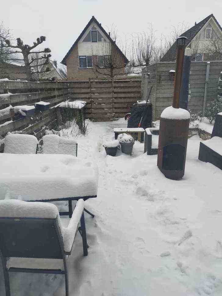 Eye Exercise : Spot the Hidden Cat in This Snowy Backyard 1 spothiddencatinthesnowybackground22082246689577646959 1