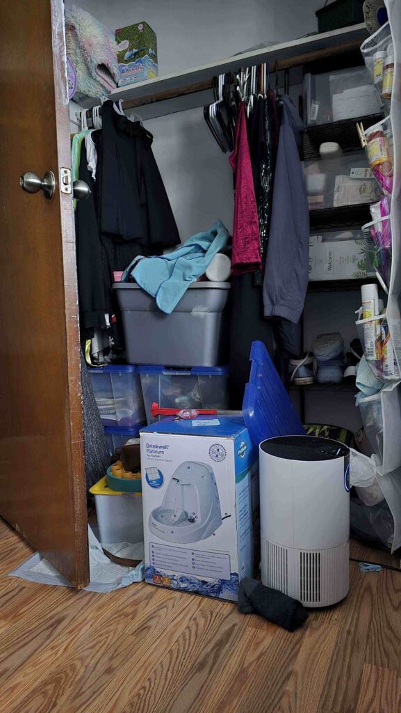 Spot the Hidden Cat in This Messy Closet 1 spotthehiddencat5035292938898821337