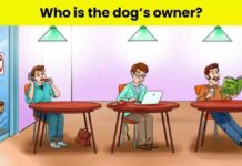 Brain Teaser: Who Is the Dog’s Real Owner? Can You Figure It Out?
