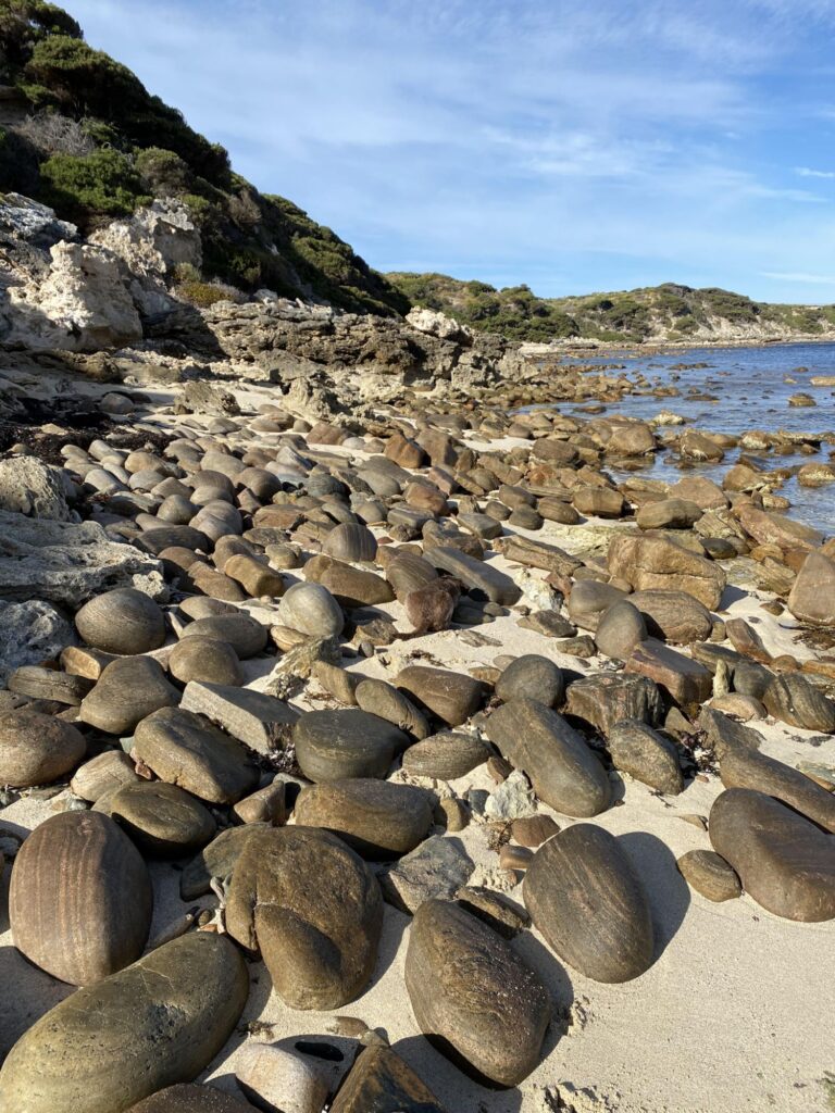 Spot the Two Hidden Dogs in This Rocky Beach Photo 1 6j0g3oc5cp7d11274993405712216302