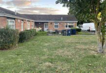 Find Hidden Dog in the Picture: Can You Spot the Clever Canine in This Suburban Scene? Find Hidden Dog in the Picture